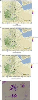 Epidemiology of Epizootic Lymphangitis Among Carthorses in Ethiopia